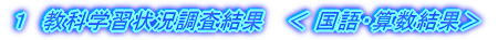 �P�@���Ȋw�K�󋵒�������   �� ����E�Z�����ʁ�
