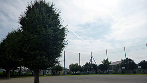 朝会
