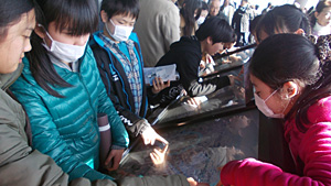 東京見学