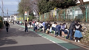 しばざくら