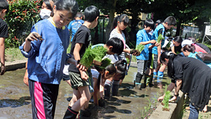 鎌倉見学