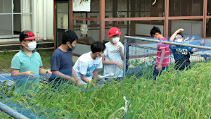 5年 防鳥ネット