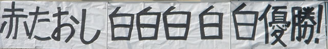 gX[KԂD