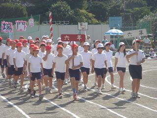 6N