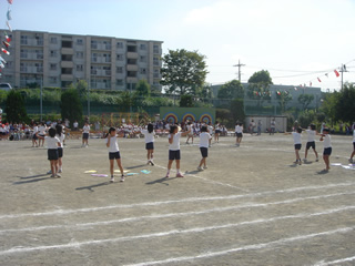 LNx