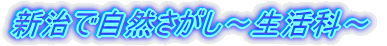 VŎR