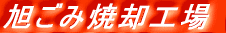 ݏċpH 