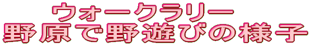 EH[N[ 쌴ŖVт̗lq