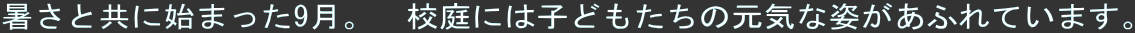 ƋɎn܂9B@Zɂ͎qǂ̌CȎpӂĂ܂B