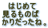 @͂߂
̂
肾ˁB