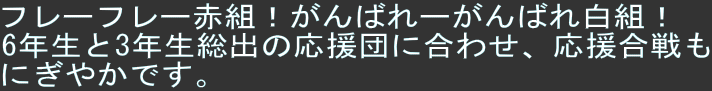 t[t[ԑgI΂[΂ꔒgI
6N3Nỏcɍ킹A
ɂ₩łB