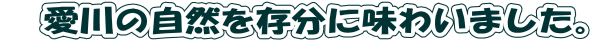 @̎R𑶕ɖ킢܂B