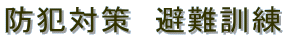 hƑ΍@P