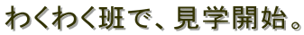 킭킭ǂŁAwJnB