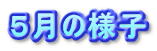�T���̗l�q
