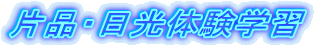 �Еi�E�����̌��w�K