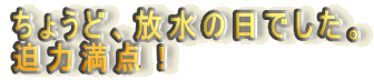 ���傤�ǁA�����̓��ł����B
���͖��_�I