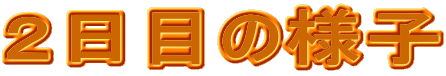 �Q���ڂ̗l�q