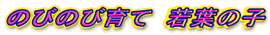 ̂т̂шā@t̎q