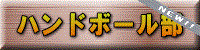 ハンドボール部 