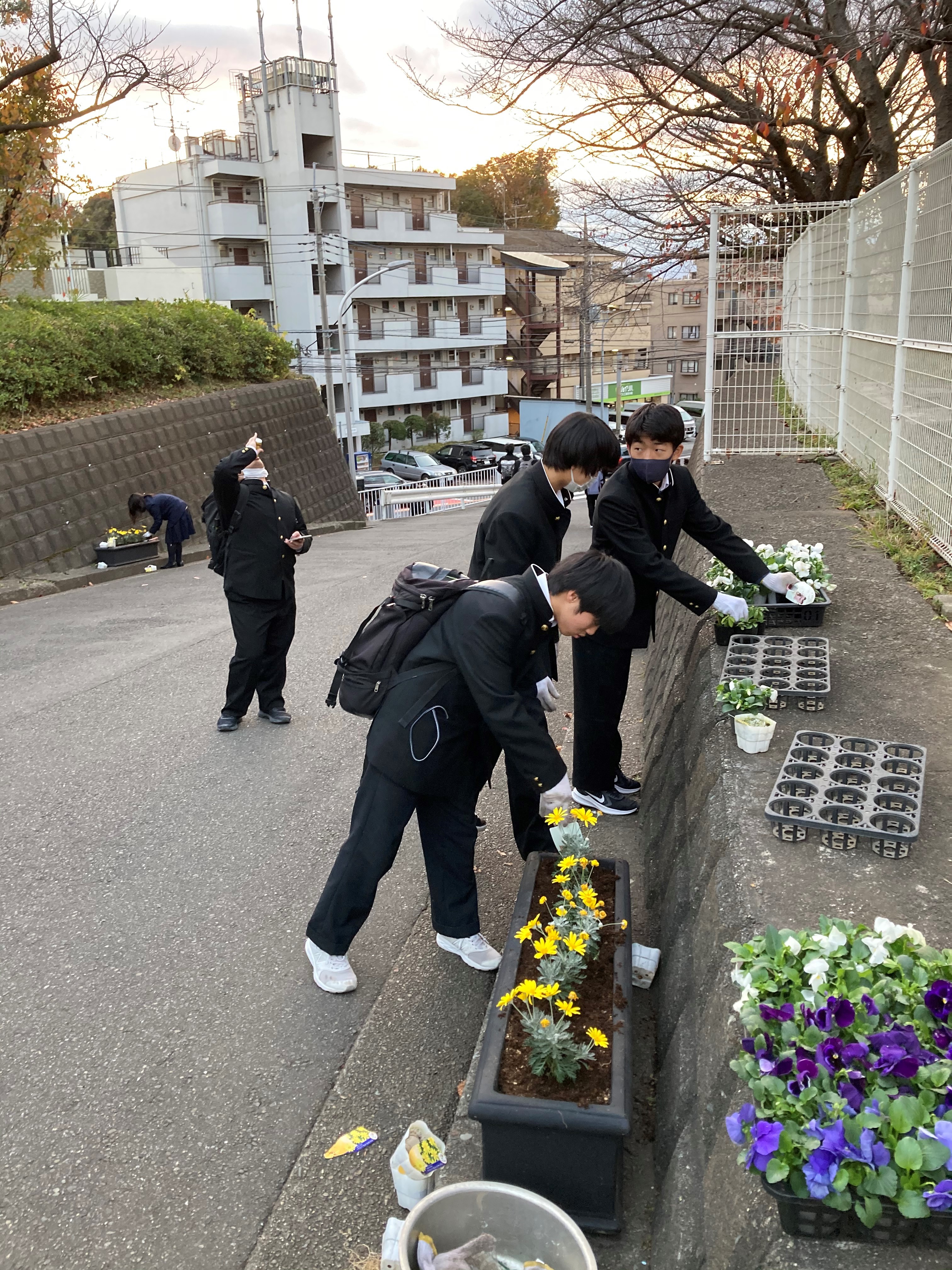 ESD委員　緑化活動　球根植え