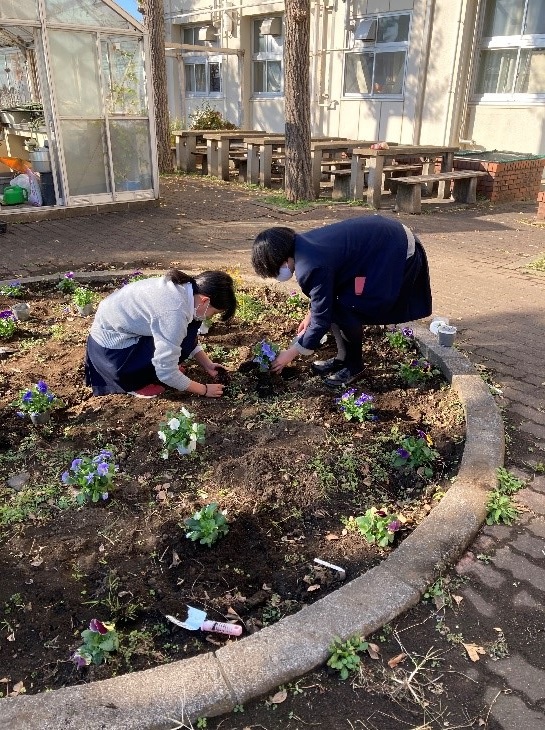 ESD委員　緑化活動　球根植え