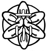 画像が開きません。