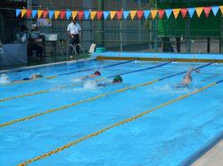 区水泳記録会