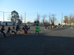 ガチンコつなひき