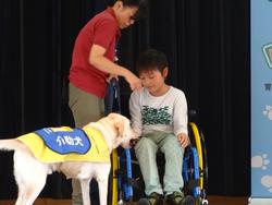 介助犬