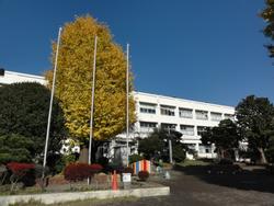 ２２日の写真