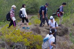 電信山遊歩道植生調査