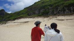 南島植生回復・貝化石調査