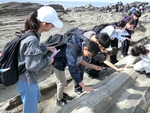 【1年生 城ヶ島地層見学】