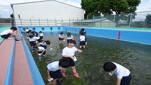 着衣水泳