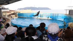 着衣水泳
